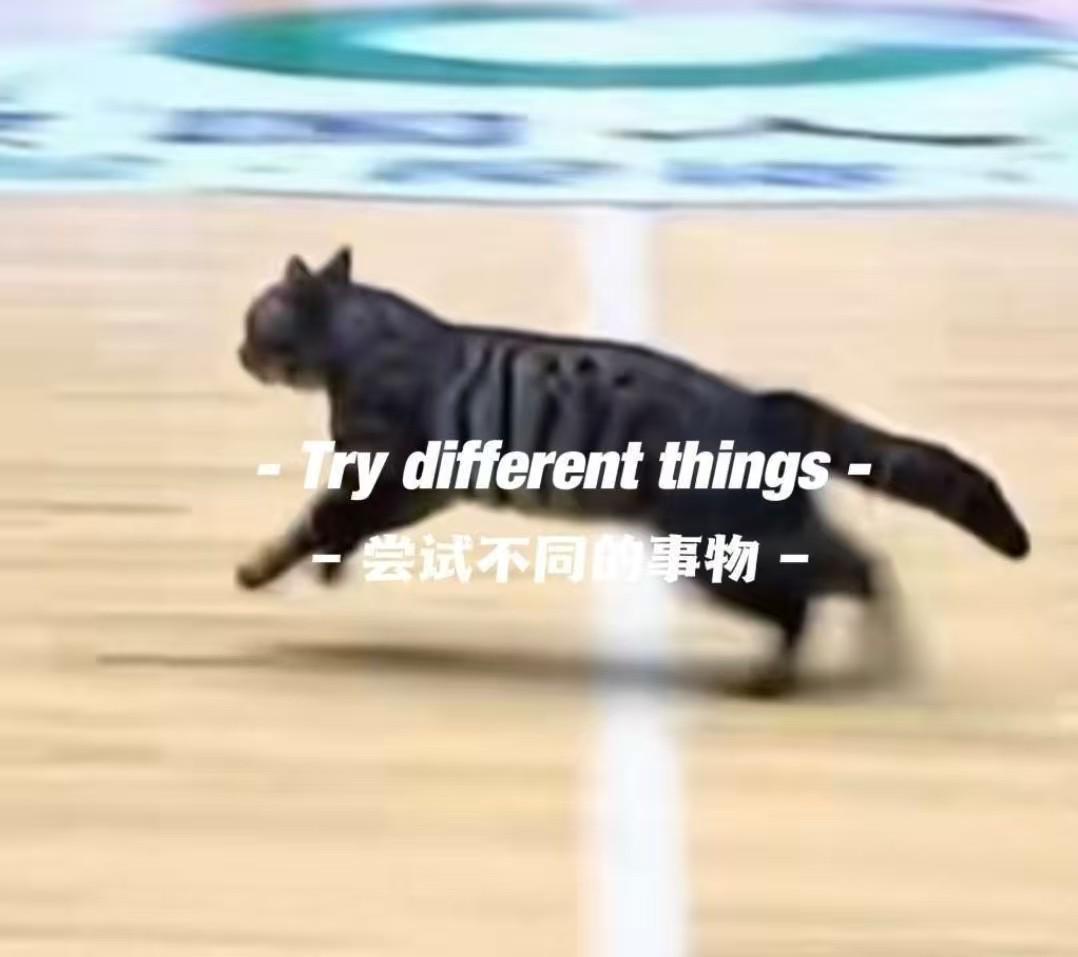 中欧体育官方网站-猫猫也想打球，广东四川CBA比赛中场地内跑进一只小猫